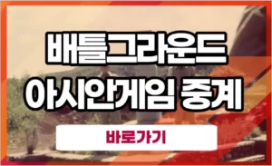 항저우 아시안게임 배틀그라운드 중계 (배그 대한민국 한국 대표팀)