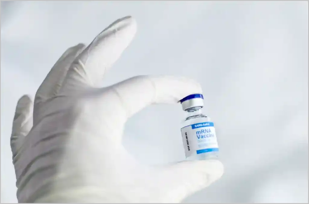 독감 인플루엔자 국가예방접종 예약 및 병원 위치 연락처 조회 방법